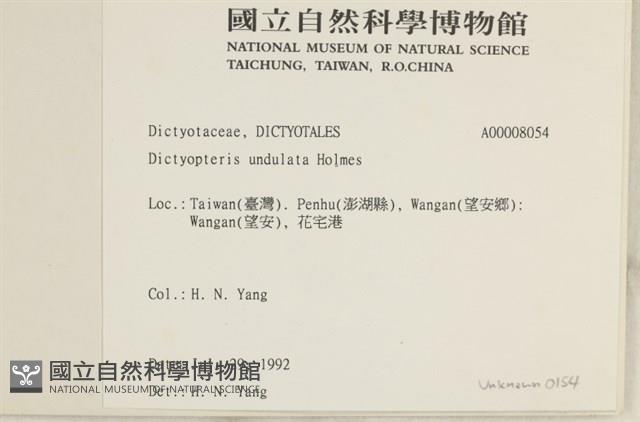 登錄號:A00008054藏品圖，第2張