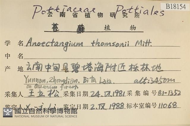 索氏叢本蘚藏品圖，第2張