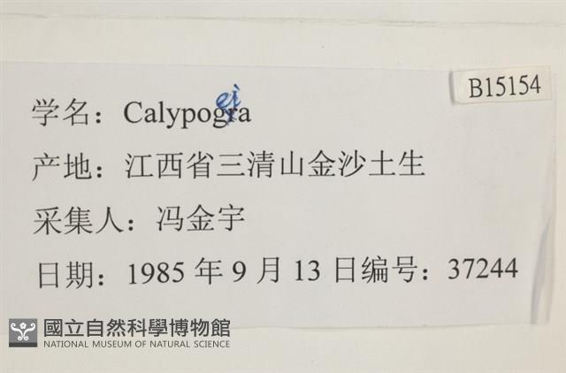 登錄號:B00015154藏品圖，第2張