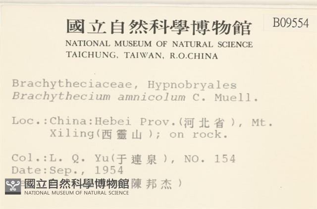 登錄號:B00009554藏品圖，第2張