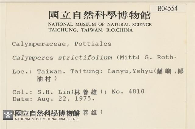 登錄號:B00004554藏品圖，第2張