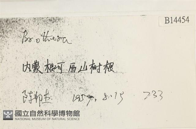 登錄號:B00014454藏品圖，第2張