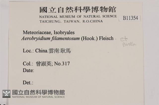 毛扭蘚藏品圖，第2張