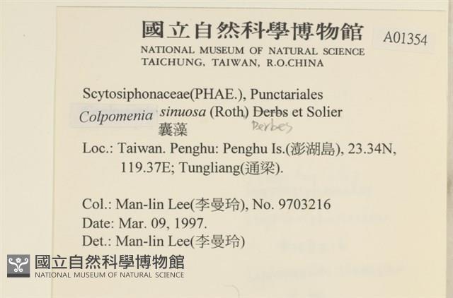 登錄號:A00001354藏品圖，第2張