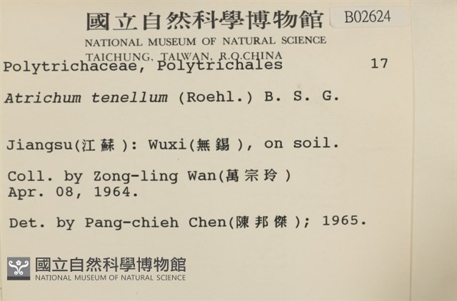 登錄號:B00002624藏品圖，第2張