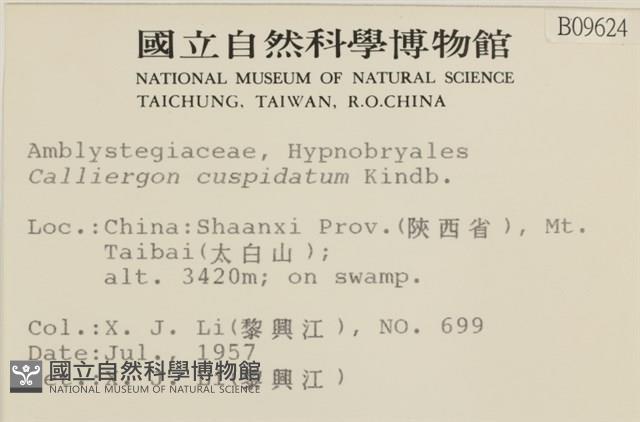 登錄號:B00009624藏品圖，第2張