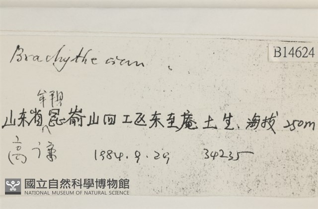 登錄號:B00014624藏品圖，第2張