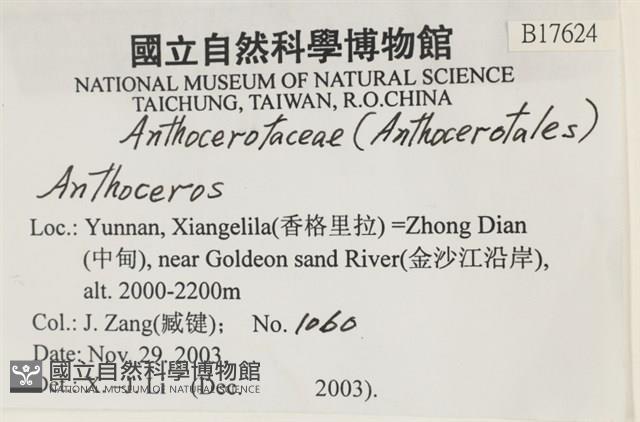 登錄號:B00017624藏品圖，第2張