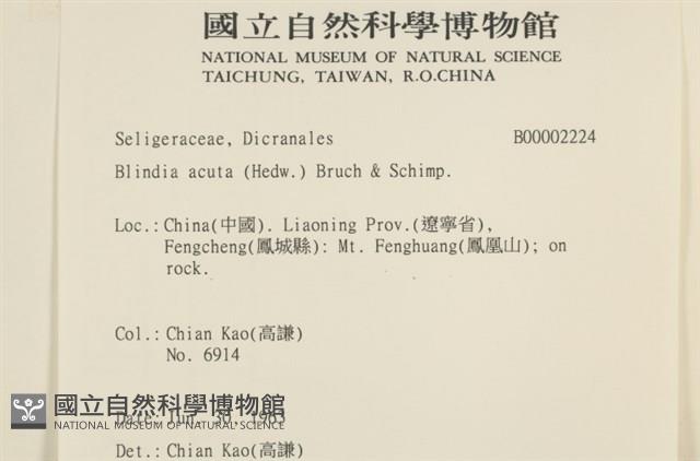 小穗蘚藏品圖，第2張