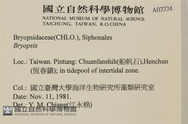 登錄號:A00002224藏品圖，第2張