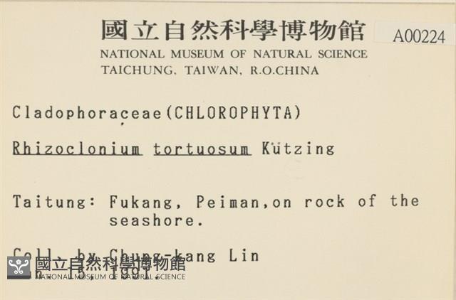 登錄號:A00000224藏品圖，第2張