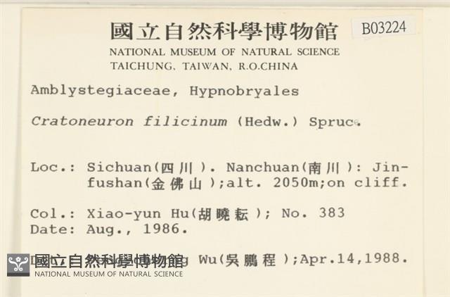 登錄號:B00003224藏品圖，第2張