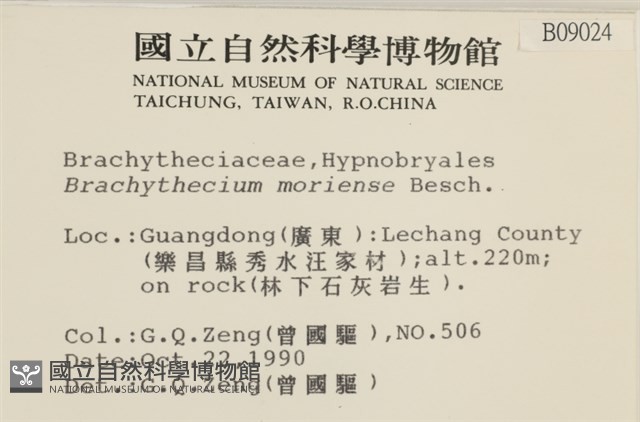 登錄號:B00009024藏品圖，第2張