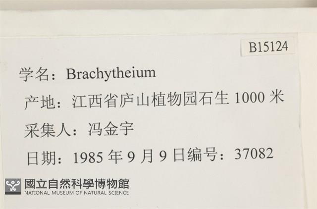 登錄號:B00015124藏品圖，第2張