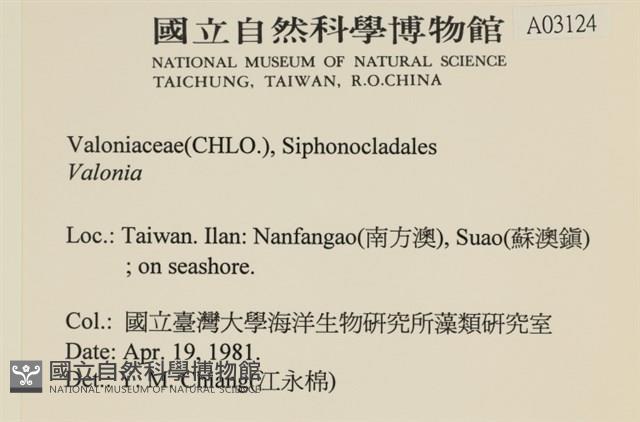 登錄號:A00003124藏品圖，第2張