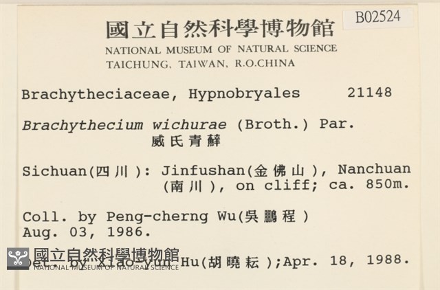 威氏青蘚藏品圖，第2張