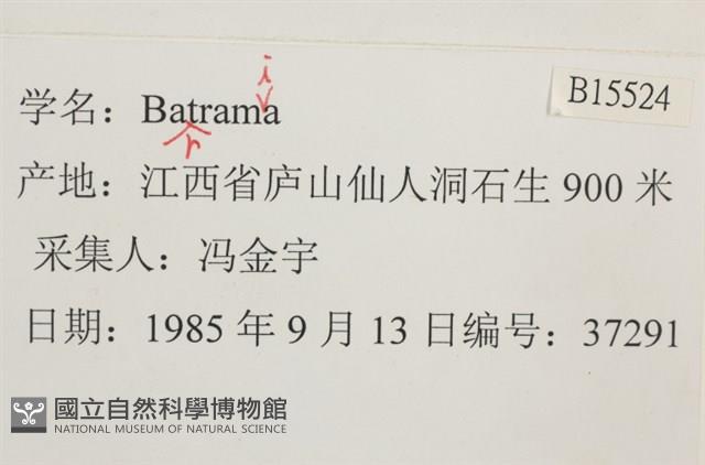 登錄號:B00015524藏品圖，第2張