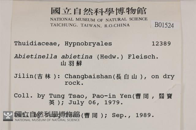 山羽蘚藏品圖，第2張