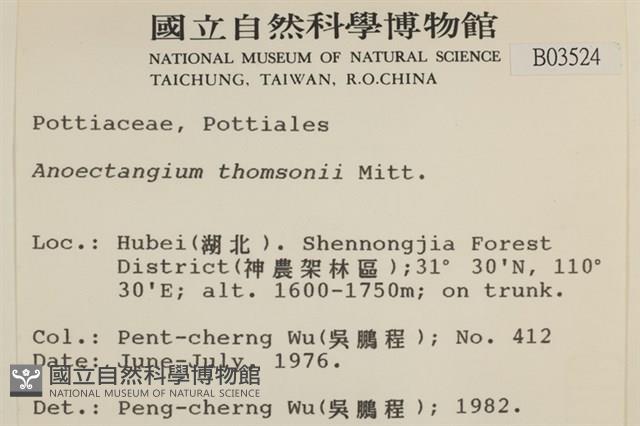 索氏叢本蘚藏品圖，第2張