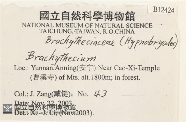 登錄號:B00012424藏品圖，第2張