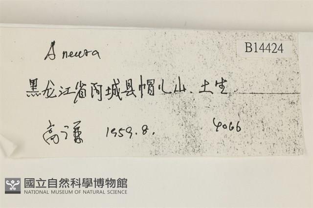 登錄號:B00014424藏品圖，第2張