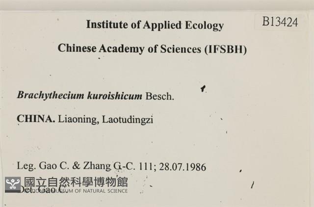 皺葉青蘚藏品圖，第2張