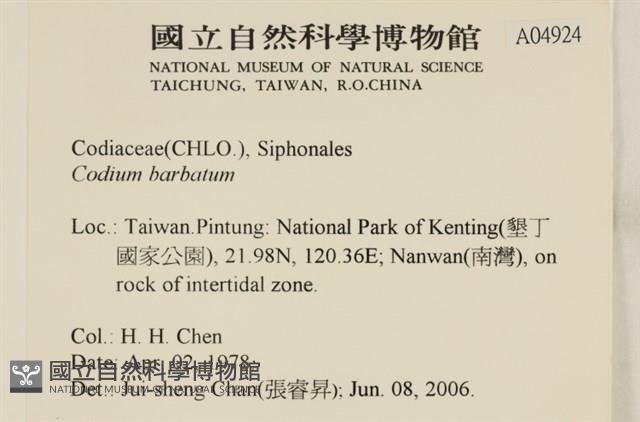 登錄號:A00004924藏品圖，第2張