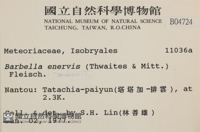 登錄號:B00004724藏品圖，第2張