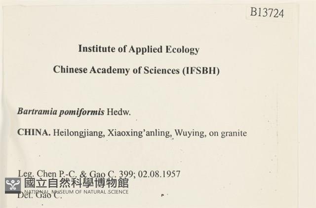 登錄號:B00013724藏品圖，第2張