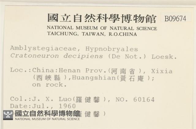 登錄號:B00009674藏品圖，第2張