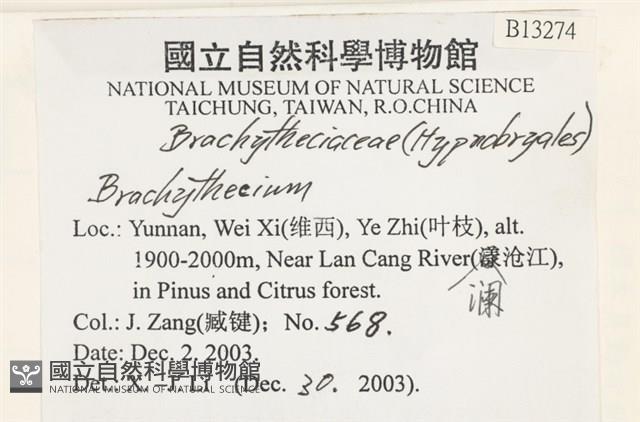 登錄號:B00013274藏品圖，第2張