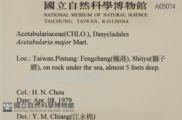 登錄號:A00005074藏品圖，第2張