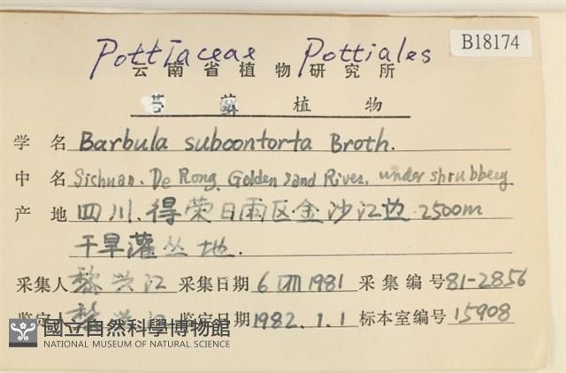 狹葉扭口蘚藏品圖，第2張