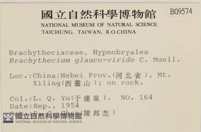 登錄號:B00009574藏品圖，第2張