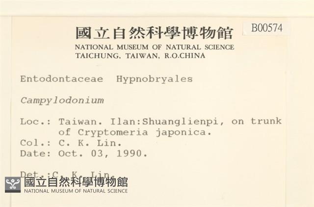 登錄號:B00000574藏品圖，第2張