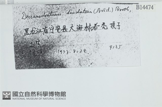 青毛苔藏品圖，第2張