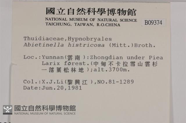 登錄號:B00009374藏品圖，第2張