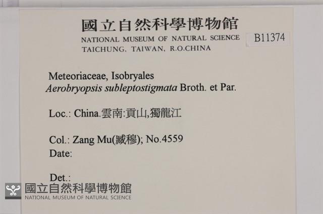 登錄號:B00011374藏品圖，第2張