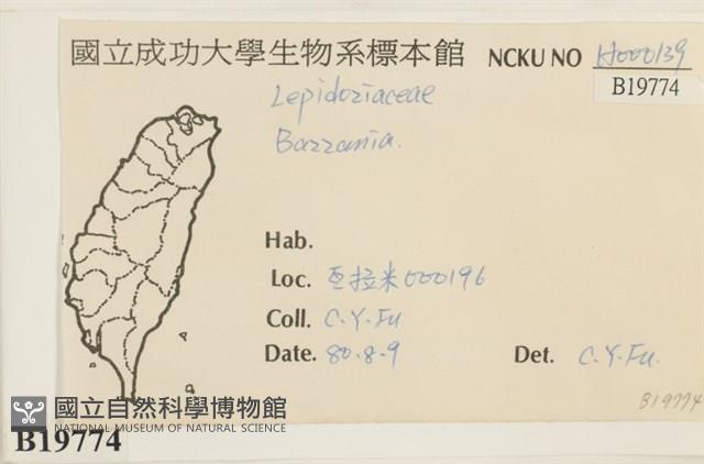 登錄號:B00019774藏品圖，第2張