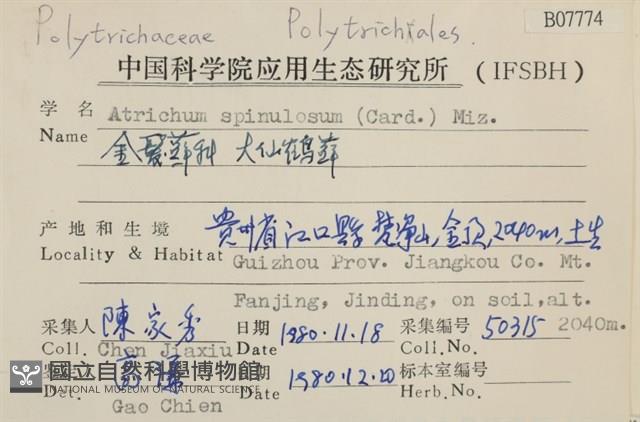 大仙鶴蘚藏品圖，第2張