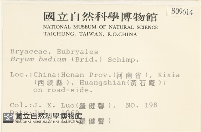 登錄號:B00009614藏品圖，第2張