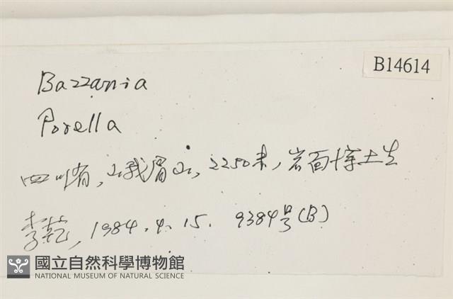 登錄號:B00014614藏品圖，第2張