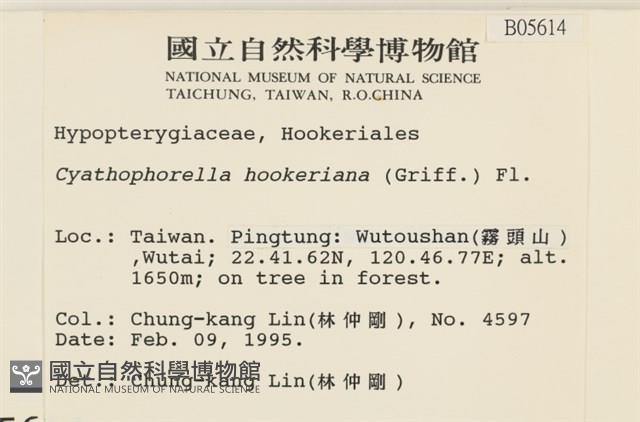 登錄號:B00005614藏品圖，第2張