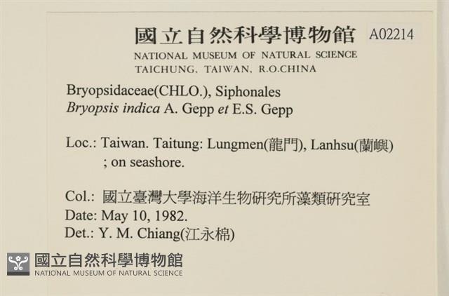 登錄號:A00002214藏品圖，第2張