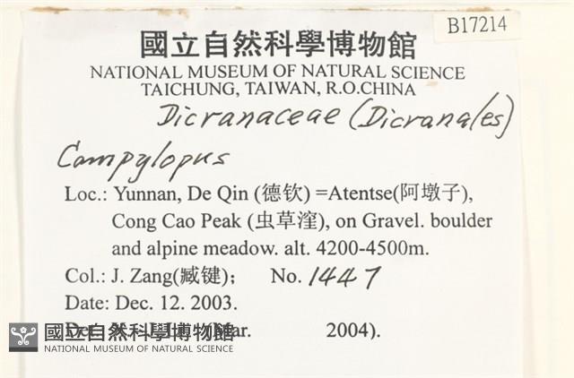 登錄號:B00017214藏品圖，第2張