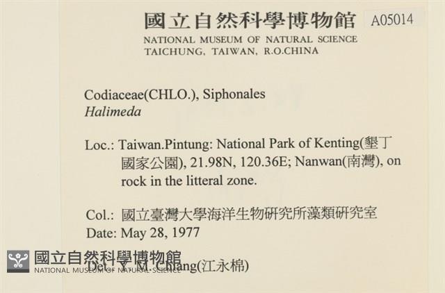 登錄號:A00005014藏品圖，第2張