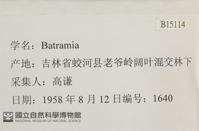 登錄號:B00015114藏品圖，第2張