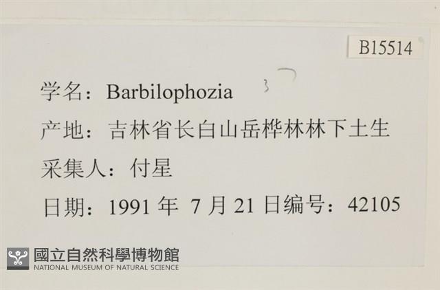 登錄號:B00015514藏品圖，第2張