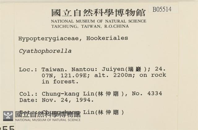 登錄號:B00005514藏品圖，第2張