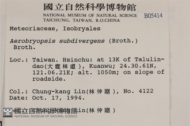 大灰氣蘚藏品圖，第2張
